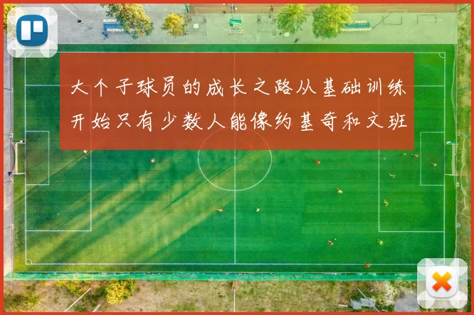 大个子球员的成长之路从基础训练开始只有少数人能像约基奇和文班那样成功