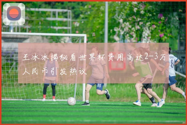 王冰冰揭秘看世界杯费用高达2-3万人民币引发热议