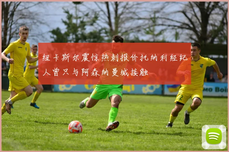 纽卡斯尔震惊热刺报价托纳利经纪人曾只与阿森纳曼城接触