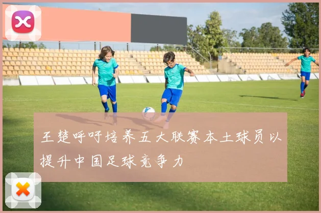 王楚呼吁培养五大联赛本土球员以提升中国足球竞争力