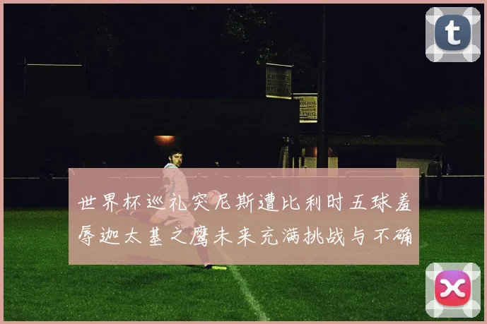世界杯巡礼突尼斯遭比利时五球羞辱迦太基之鹰未来充满挑战与不确定性